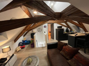 Appartement 2 pièces atypique